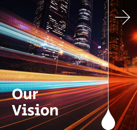 Our Vision